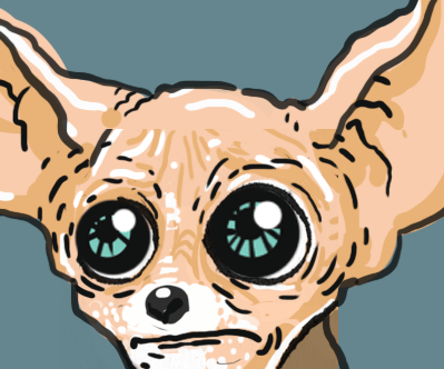 Sad Chihuahua.